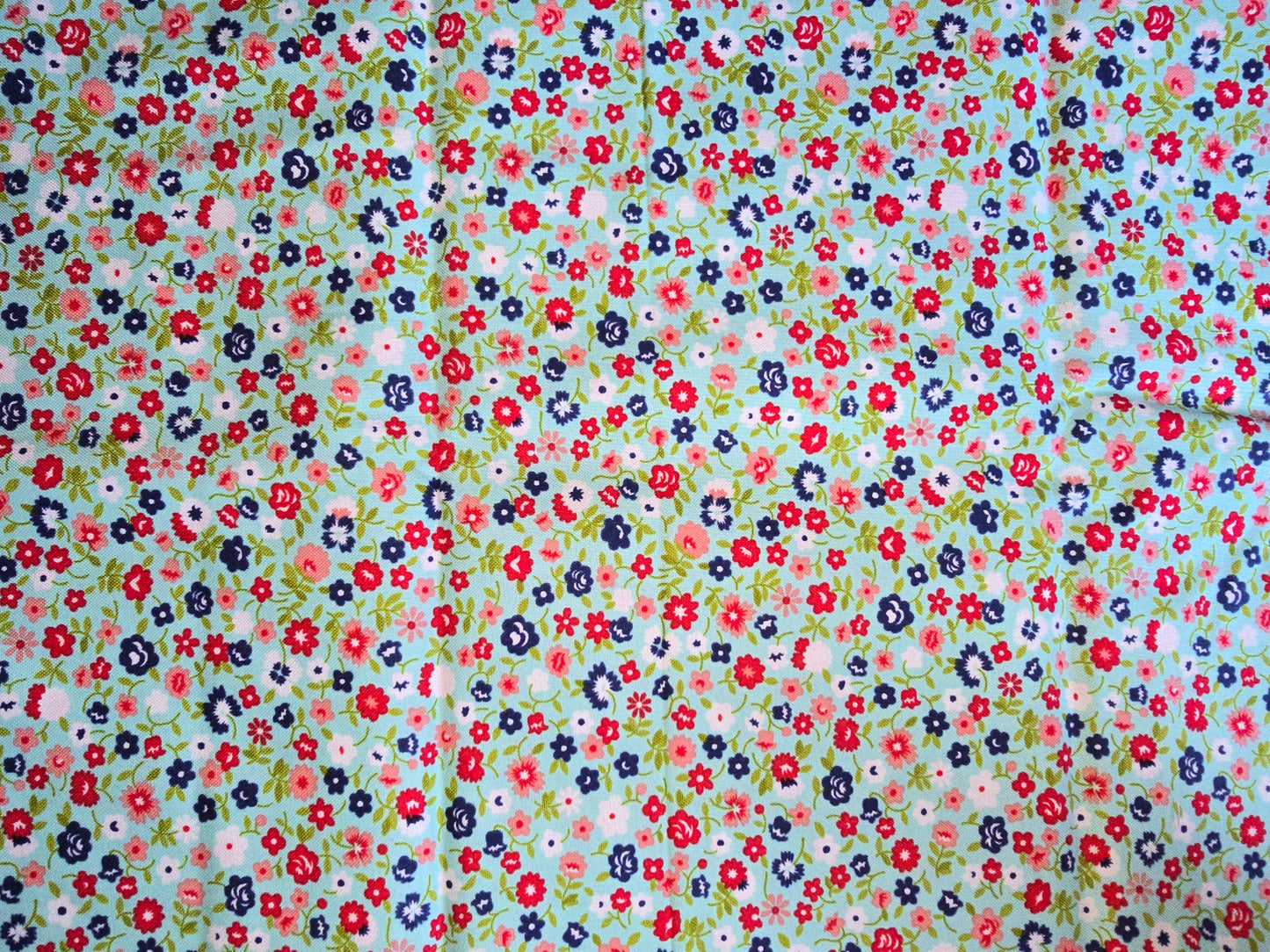 Moda Vintage Picnic 100% Cotton Remnant