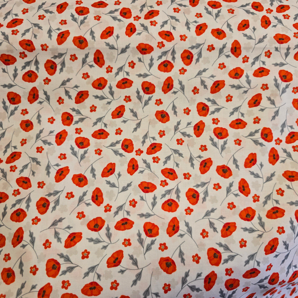 Craft Cotton Company Scattered Poppies on White - 112cm Wide