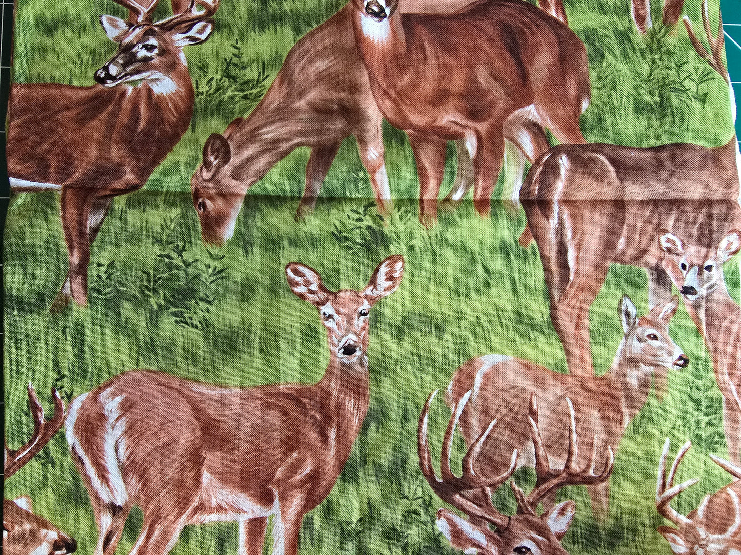 Fabri Quilt Backyard Bandits 100% Cotton Remnant