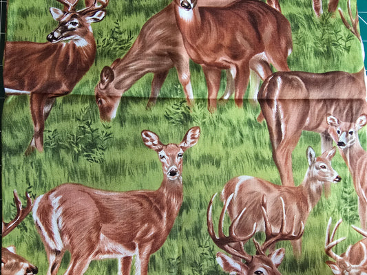 Fabri Quilt Backyard Bandits 100% Cotton Remnant