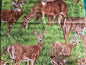 Fabri Quilt Backyard Bandits 100% Cotton Remnant