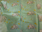 Dumbo Remnant 33 x 112cm on Mint