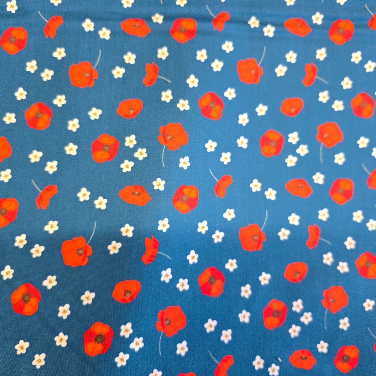 Craft Cotton Company Scattered Poppies on Blue Fabric - 112cm Wide