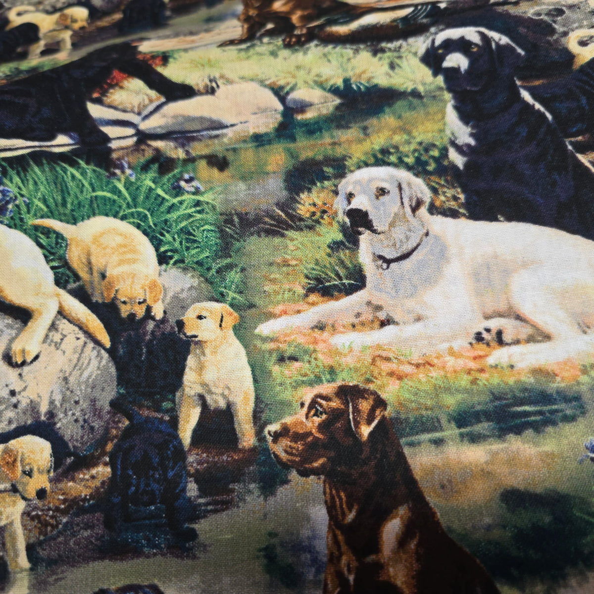 Springs Creative Labradors Best in Breed Cotton Quilting Fabric - 112cm Wide