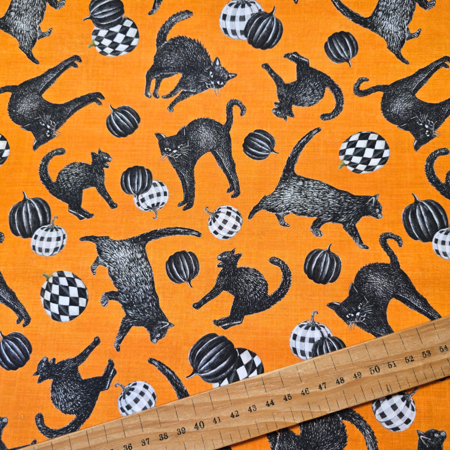 Studio Fabrics Fear Factory Orange Tossed Cats Cotton 8342