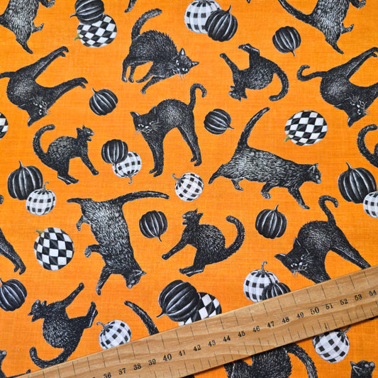 Studio Fabrics Fear Factory Orange Tossed Cats Cotton 8342